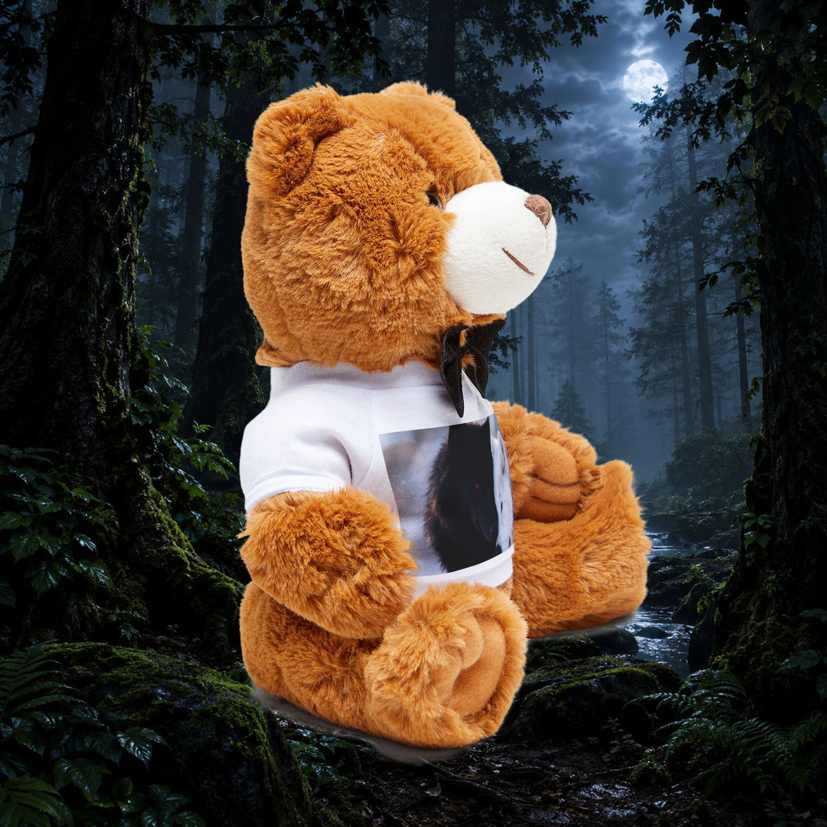 Teddy Bear with T-Shirt