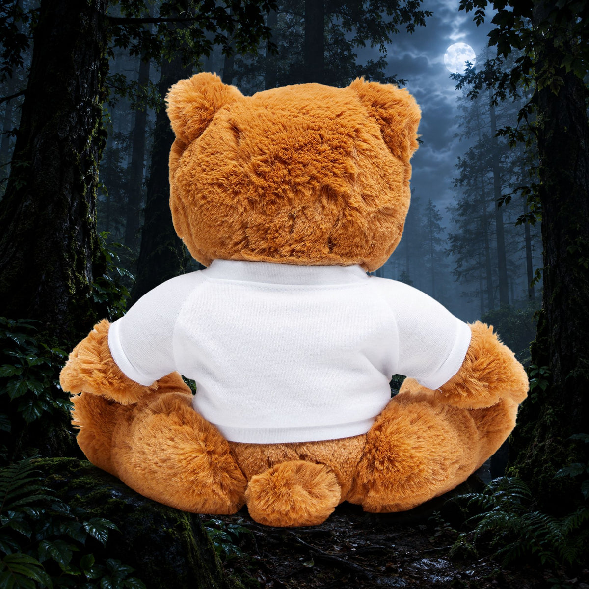 Teddy Bear with T-Shirt